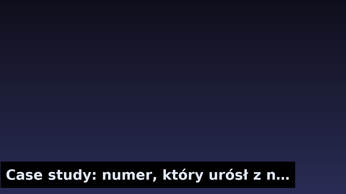 Case study: numer, który urósł z niszy do hitu
